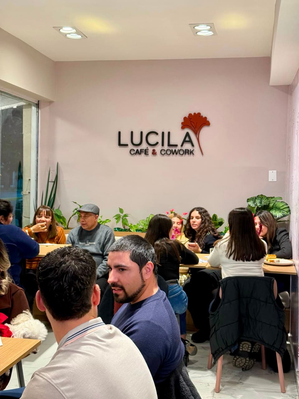 Imagen 10 del proyecto Lucila Café